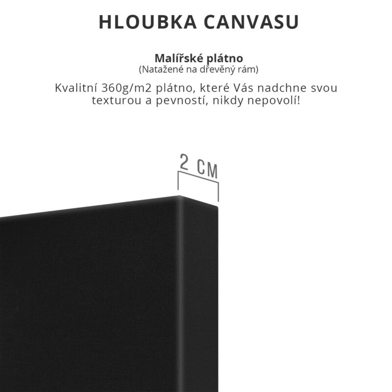 motivační obrazy na plátno